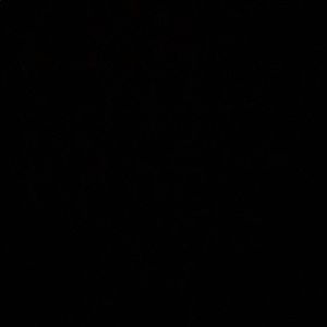 Meet your Posher, Eli